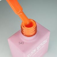 Гель-лак Pink House Parfum 543, 10ml