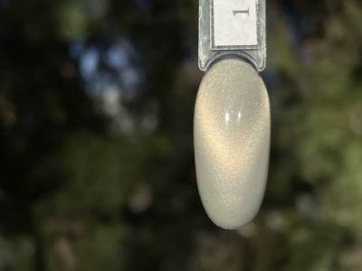 001 Гель-лаки Лесная кошка Pink House , 10 мл