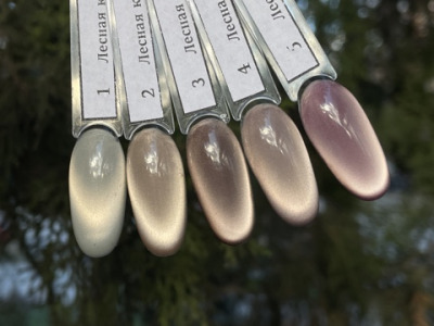 002 Гель-лаки Лесная кошка Pink House , 10 мл - вид 1 миниатюра