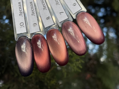 007 Гель-лаки Лесная кошка Pink House , 10 мл - вид 1 миниатюра