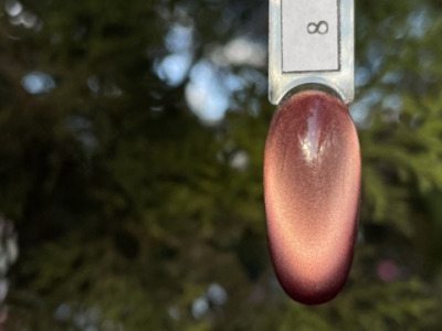 008 Гель-лаки Лесная кошка Pink House , 10 мл