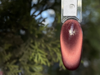 009 Гель-лаки Лесная кошка Pink House , 10 мл